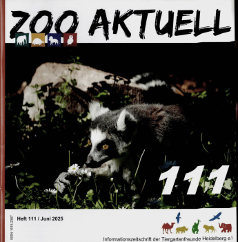 Zoo aktuell (Heidelberg) - Heft 111 - Juni 2025